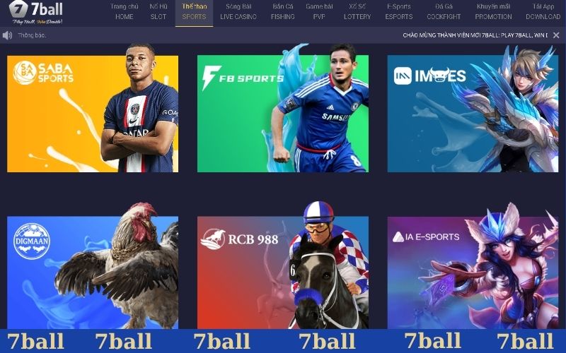 Khám phá sảnh thể thao 77BALL